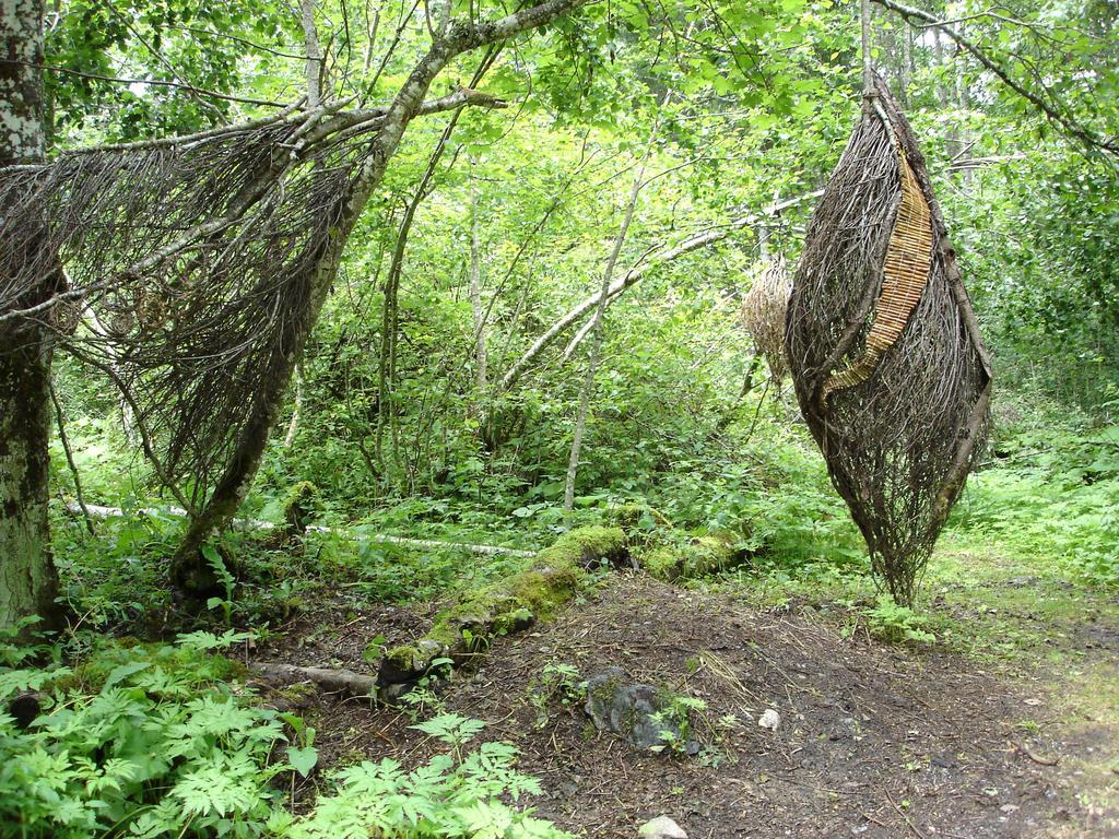 Lehmann'S Herberge Hostel Гриндельвальд Экстерьер фото
