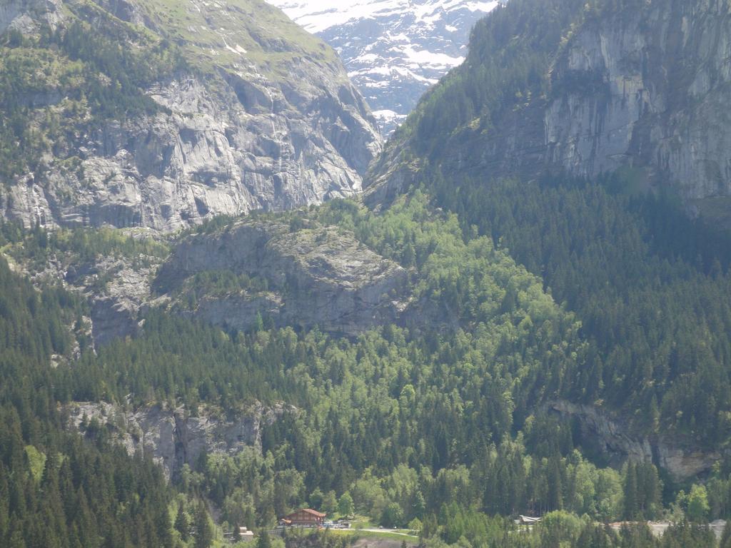 Lehmann'S Herberge Hostel Гриндельвальд Экстерьер фото